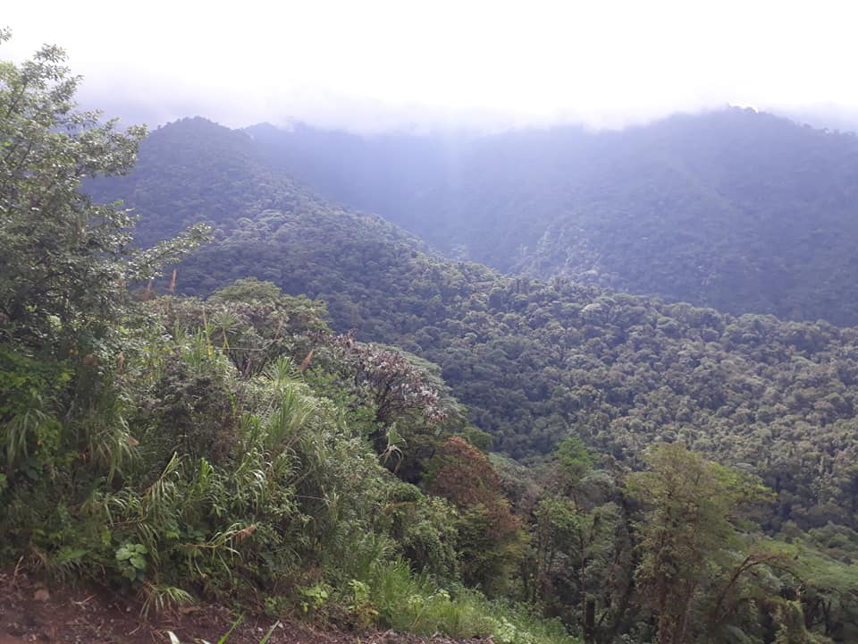 71139516_2472367132800199_4442397034892230656_n